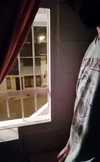 Video pregled