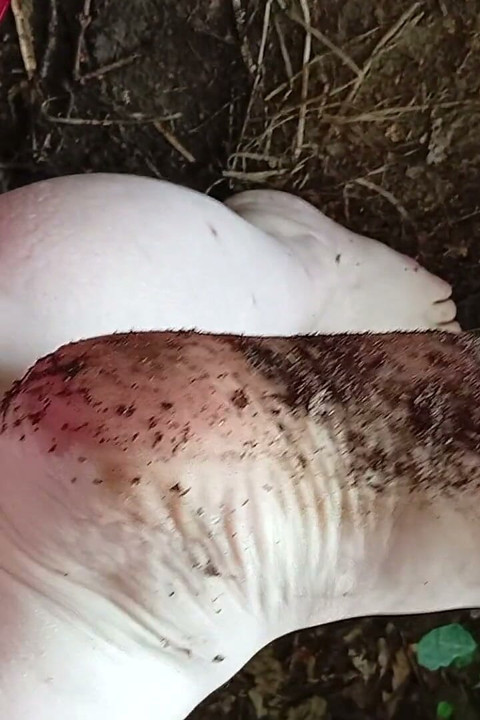 Dirty Feet Outside