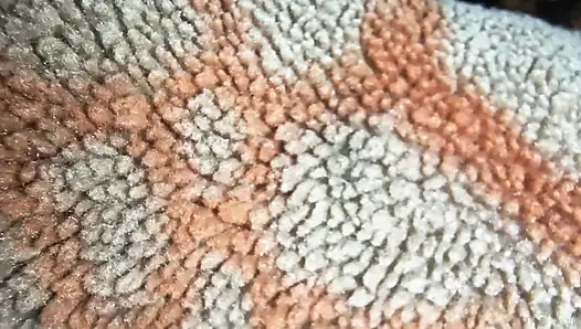 Eine Fee kam vom Himmel, und sie war ein wunderschöner Borsten- und Hinternklaps.