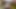 Stepmom with big tits gave blowjob to stepson while she was sitting in the toilet and he fucked her in the ass