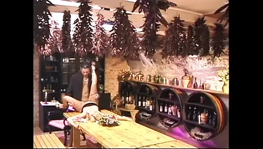 Die blonde schlampe im restaurant bekommt ihren arsch vom kellner gefickt