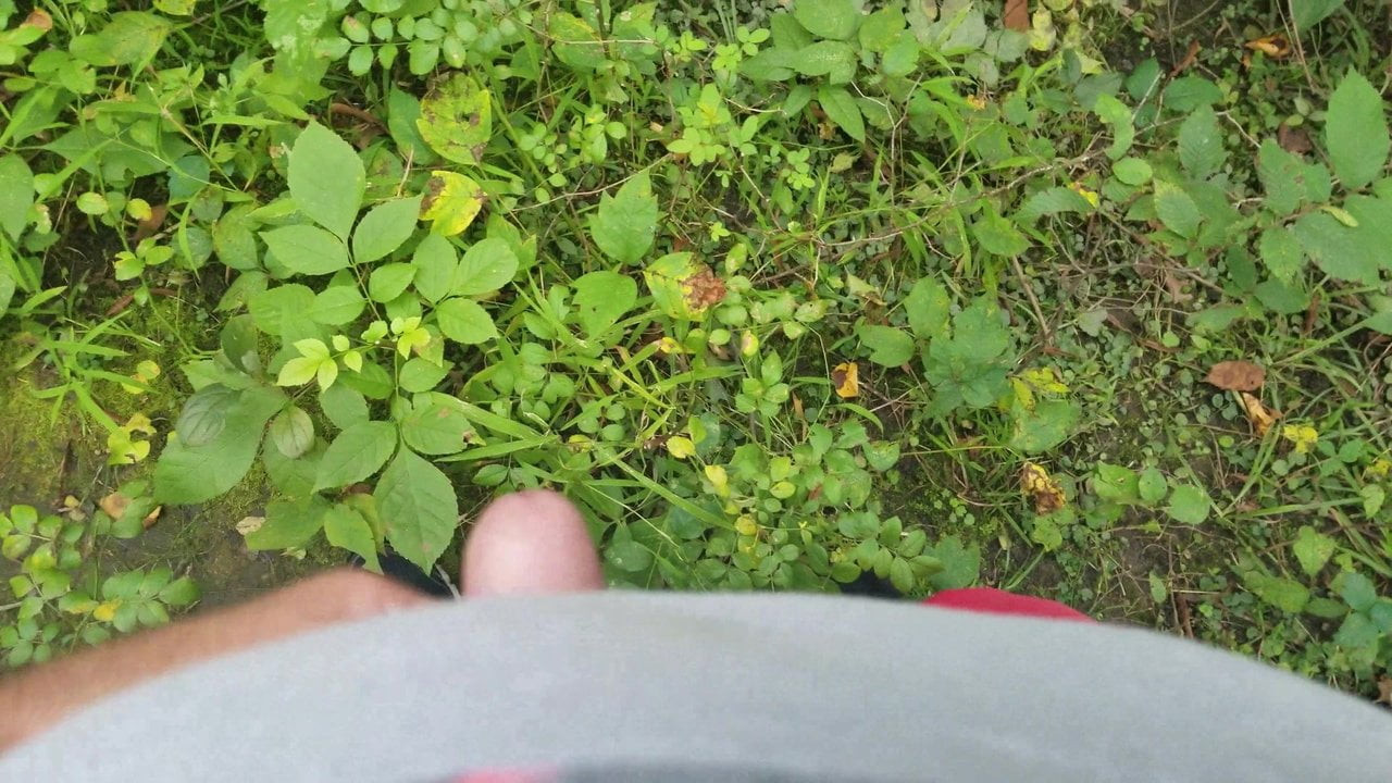 Cum in the Woods