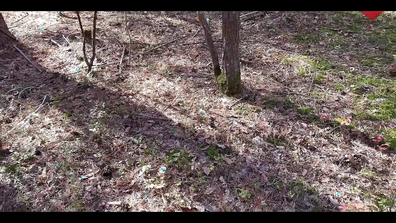 Mushroom Walk in the Forest Tick in the Pussy