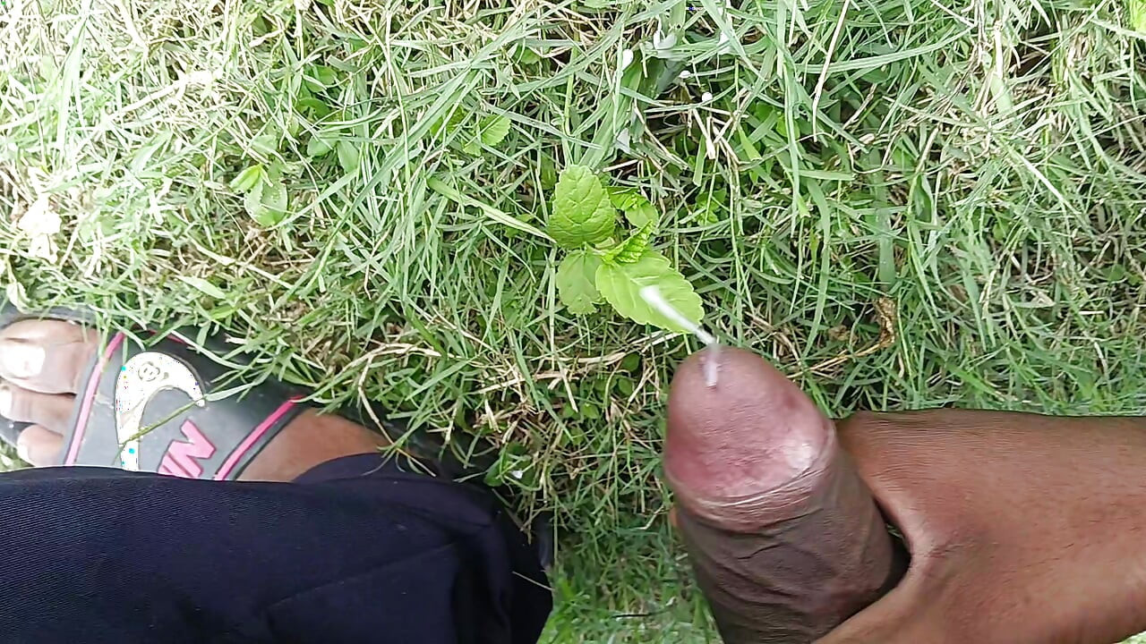 Masterb kontol besar hutan yang indah