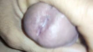 malay cock masturbating