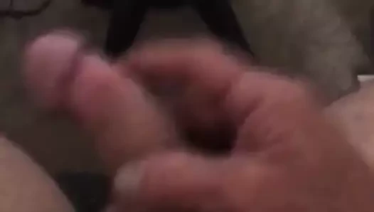 okşayarak Sabit horoz