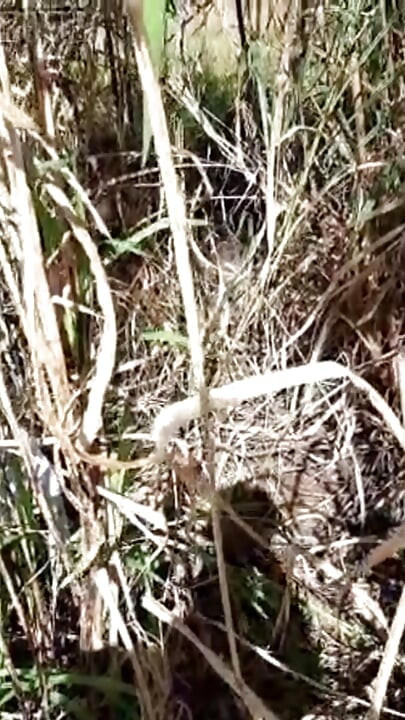 Ici, vous trouverez un moyen de maintenir votre libido