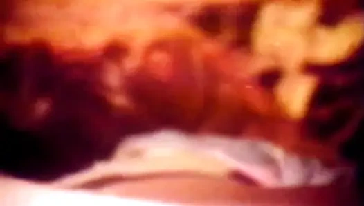 Gemeinsam Schwanz Lutschen