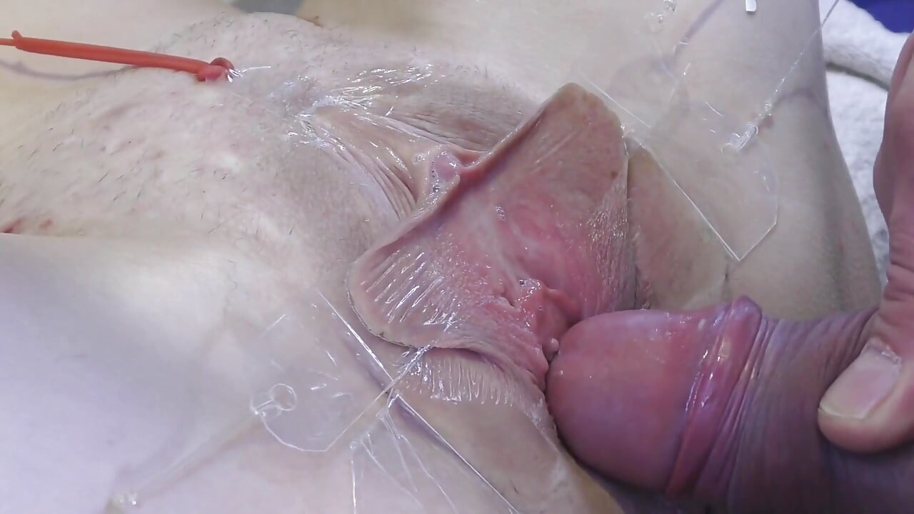 5명의 젠장할 자지가 멀리 가까이서 벌어져 있다