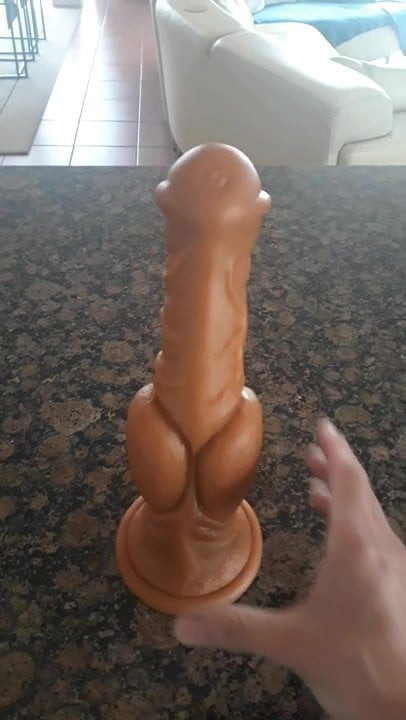 Toy