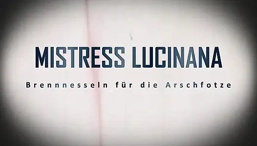 Überraschung für die Arschfotze