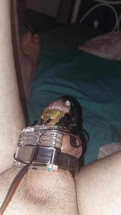 Estim Chastity