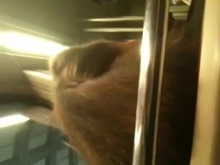 Sexy Hair pt 1