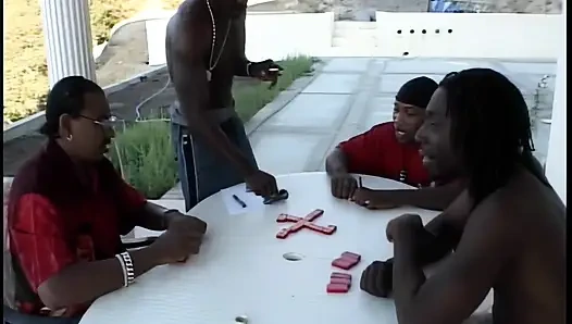 Dari Afrika 4 Kuda jantan hanya untuk Jenni