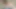 Solo emily ormanda 4k'da mastürbasyon yapıyor.