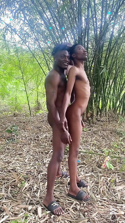 Пригода шість повний вид остаточних частин