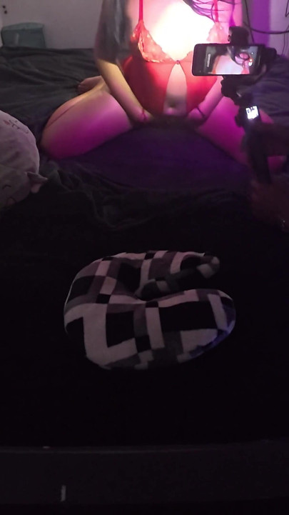 Southmericangoonroom - White Bunnie Bts 2