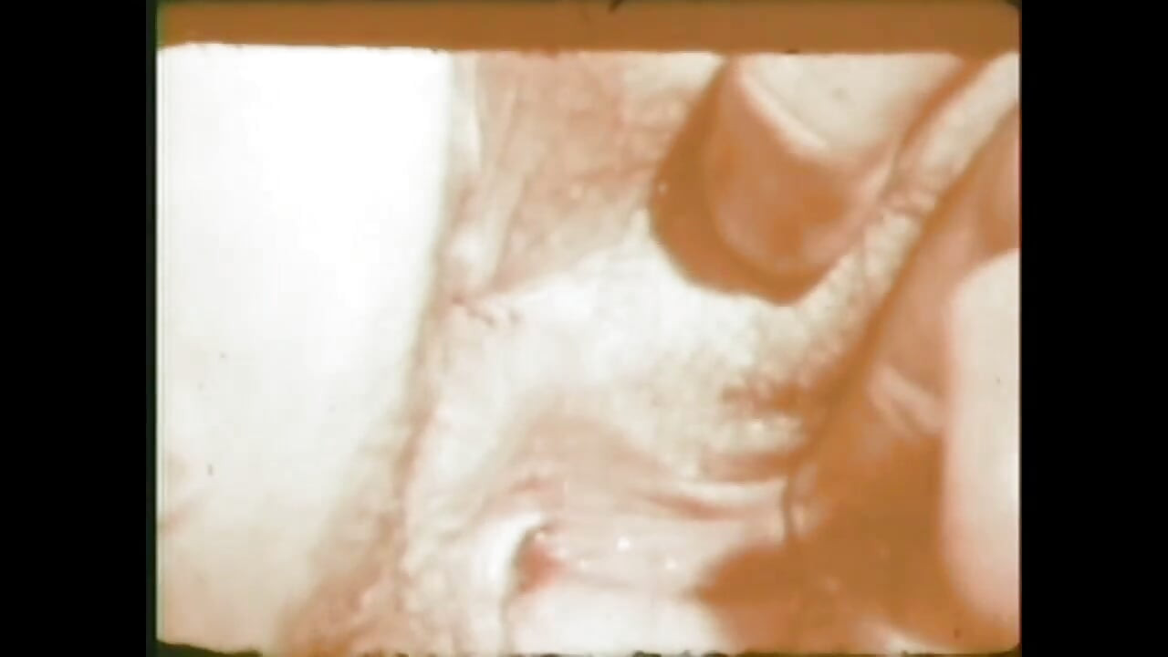 "Our origin xxx... - Vol. 14