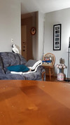 Pregled videozapisa
