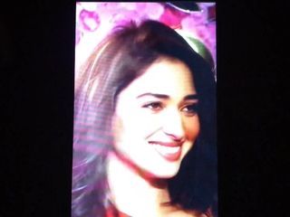 Tamanna .. forever at her feet