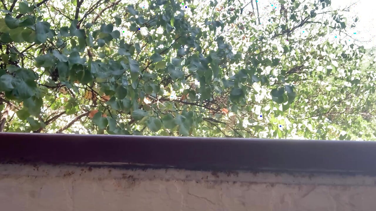 Naked on the terrace