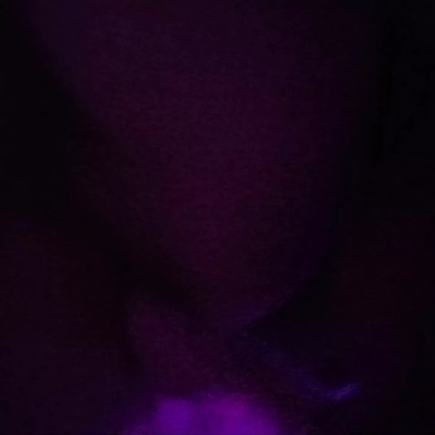 Panty are awesome!