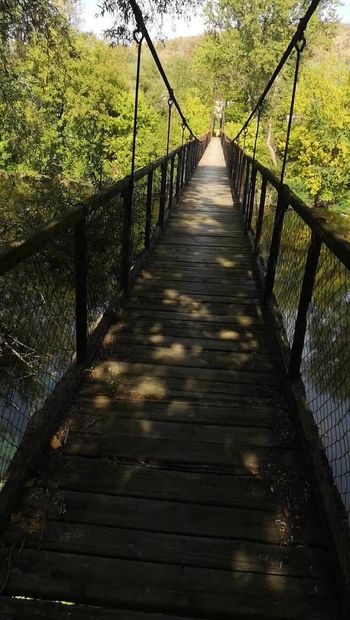 Mostrando na ponte