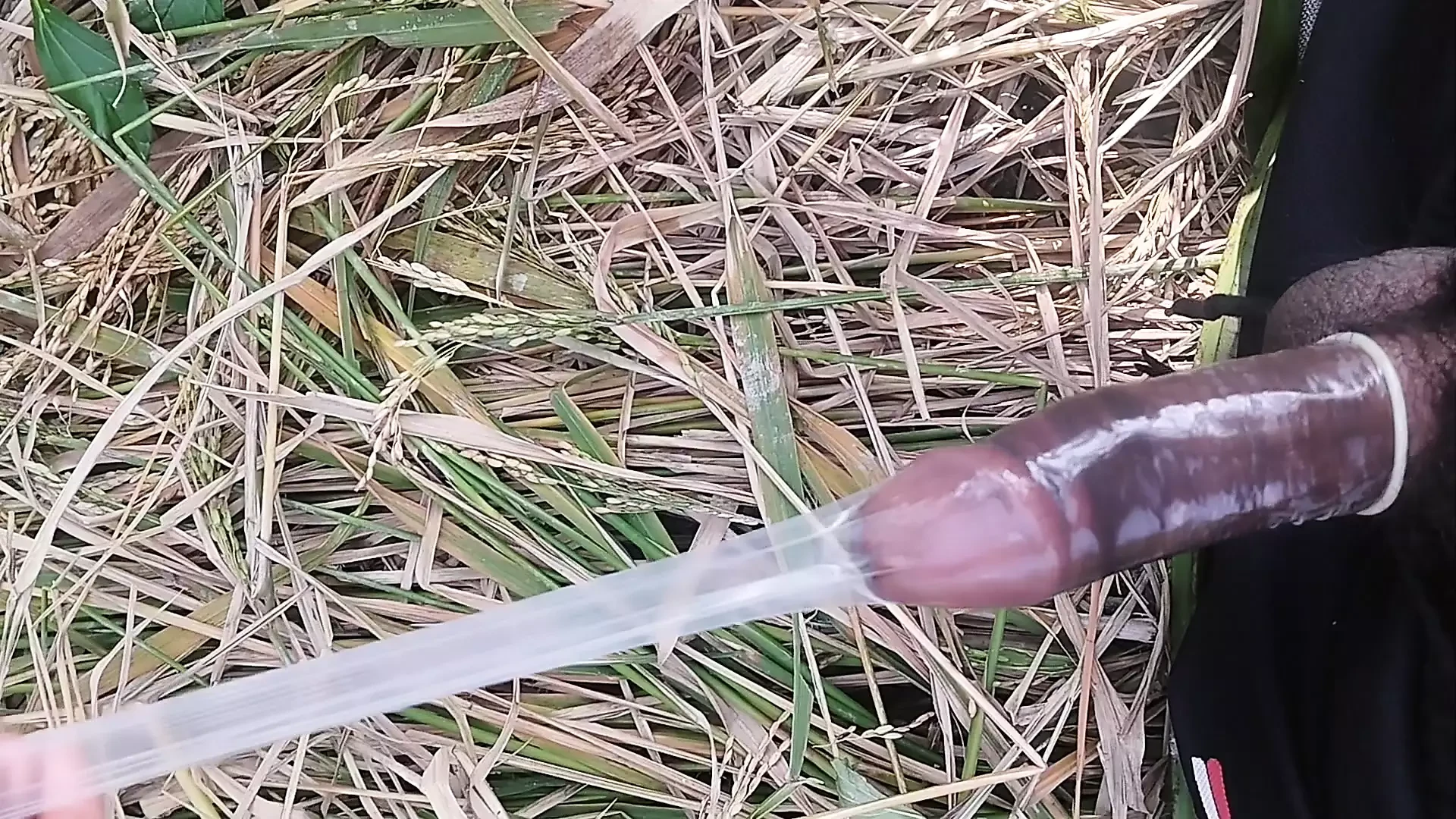 Desi garoto