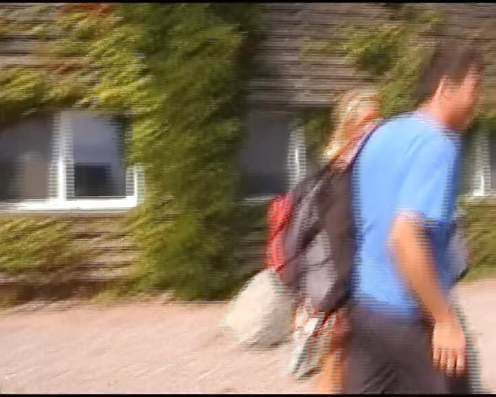 Blonde German MILF and teen sharing dick in outdoor anal threesome