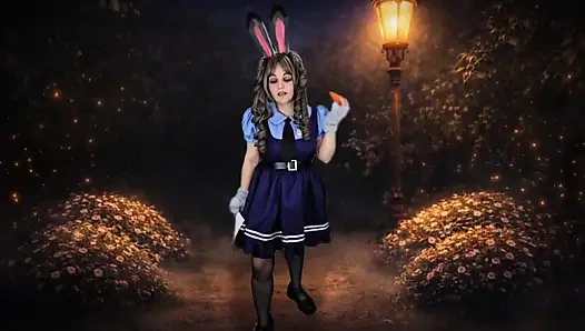 Kebijaksanaan Perwira