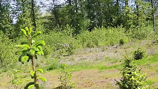 Wildlife Area Walk