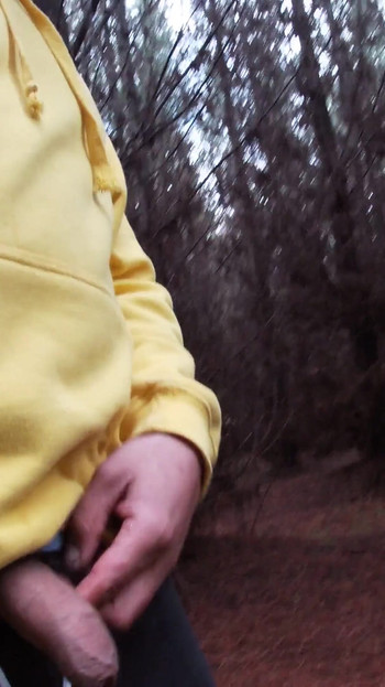 Iconic moment from "Outdoor Jerk in Yellow Hoodie & Red Boxers - Part 1"