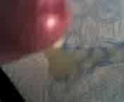 ejac sperme