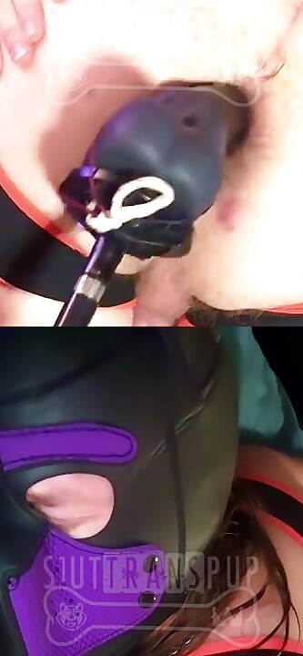 S1utTranspup menunggang dengan peluang mesin kongkek 2