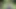 Mikuru shiinas heißes blowjob-erlebnis im freien
