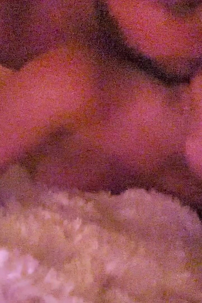 They Have Had Sex by Candlelight for so Long That Now They Are Blazing with a Desire to Cum Together