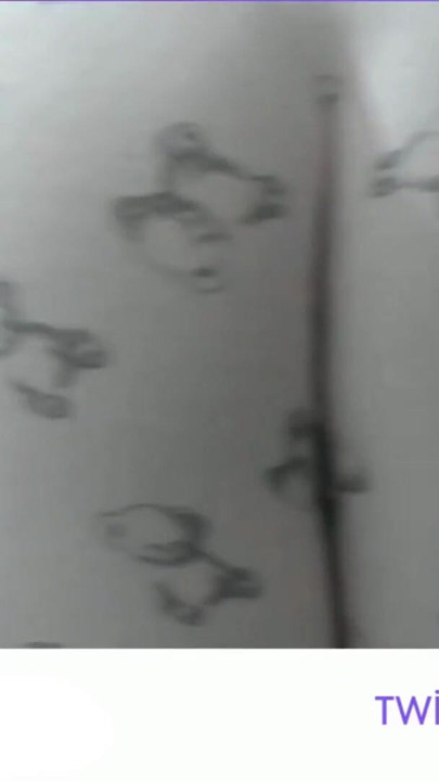 CAMELTOE- MASTURBATE WITH PAJAMAS- BIG ASS- RUBBING PUSSY WITH PAJAMAS | Clip 2
