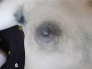 头发最多的女人？
