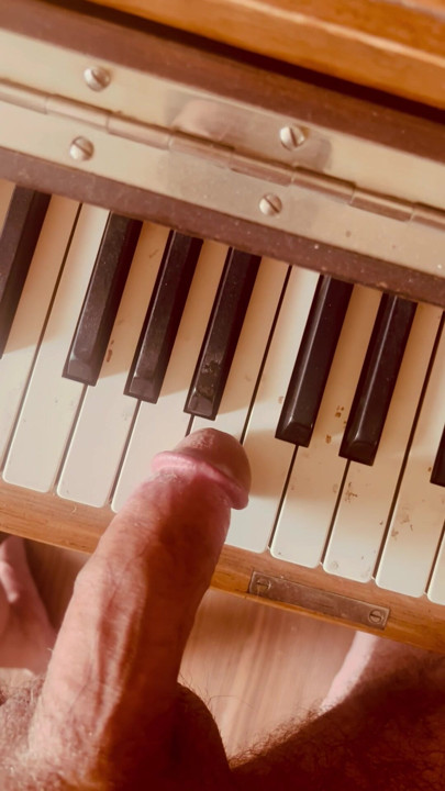Dad found the piano and slammed his penis against it
What should I break next?