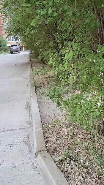 Respect to the 18 Year Old Girl Who Filmed Her Slutty Day
