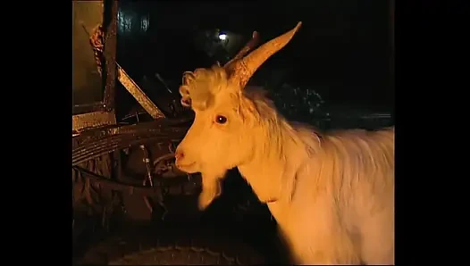 Pussy Spiritual Session