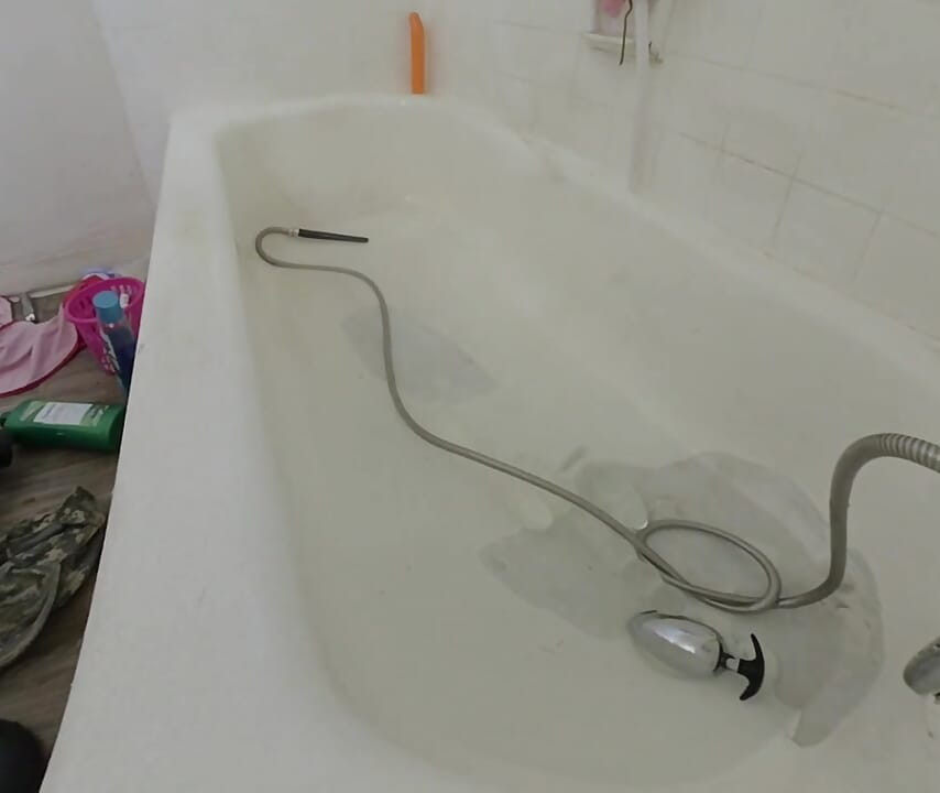 리지 얌