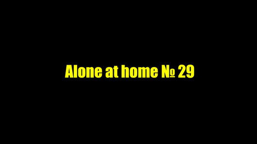 Alone at home 29