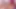 Desi Cute & Horny Two Step Sisters enjoy fucking with their Step Brother when Daddy not at home ( Full Movie )