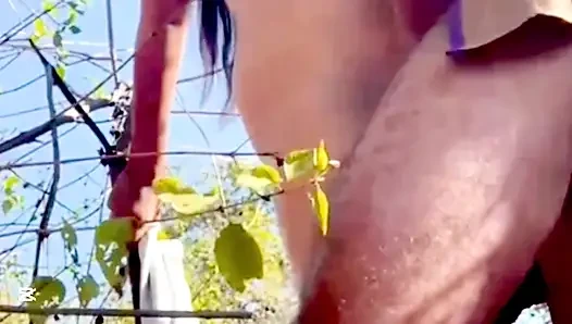 Clz yan nathuwa eha gedara akki ekka kale panala hodata hikawa