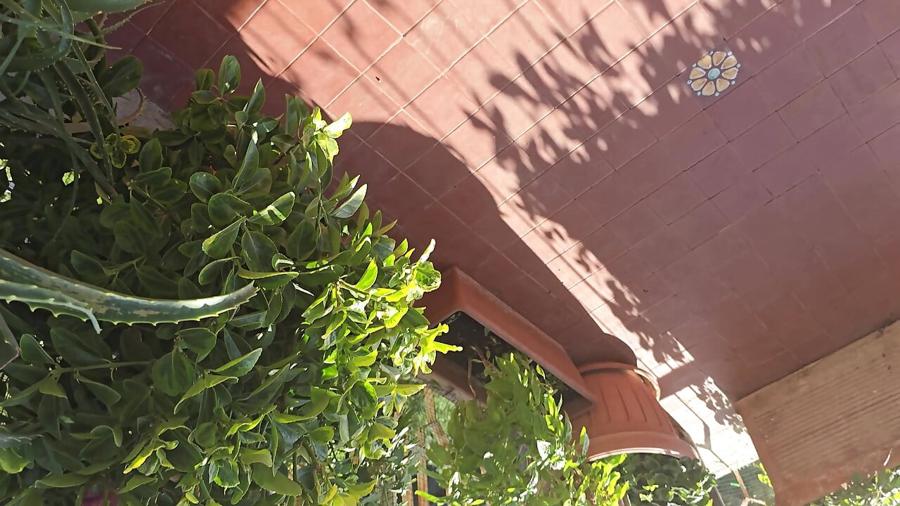 Muškarci drkaju vani u blizini palače