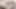 Twink kaslı dilf cris denny raw'da üvey baba Twink Curtis Cameron'u doğuruyor