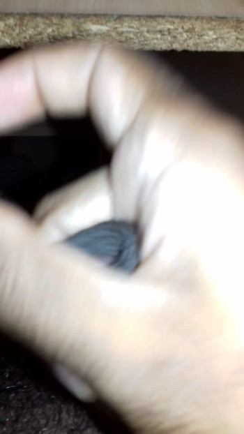 xhamster mayanmandev moments video 74