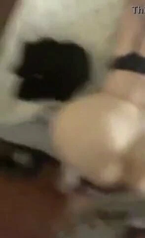 Big booty ass white bitch