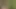 Cute 18 Teen Boy Can't Hold Pee and Desperately Moans while Peeing in Nature 4K